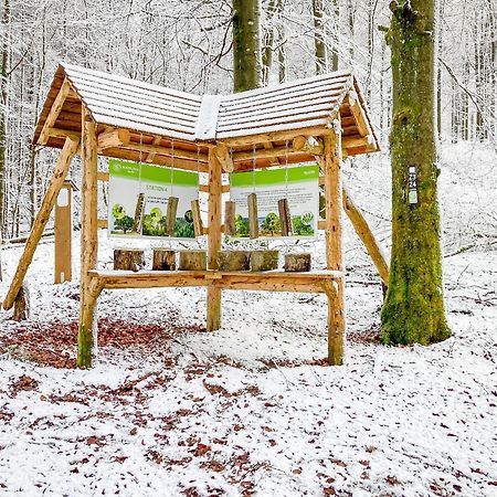 Alte Schule Winterberg Luxury Apartments Exterior foto